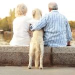Best Practices for Seasonal Health Tips in Senior Pets