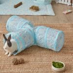 How to Improve Rabbits Exercise and Fitness at Home