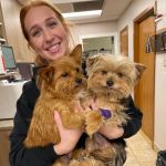 Best Practices for Preventive Care in Puppies: Keep Your Pup Healthy