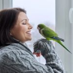 UK Pet Owner’s Guide to Travel Safety for Birds