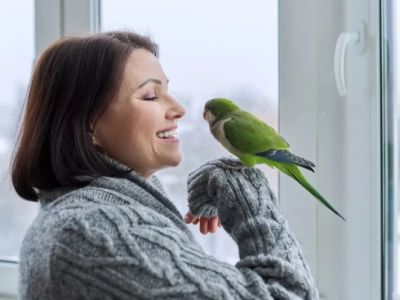 UK Pet Owner’s Guide to Travel Safety for Birds