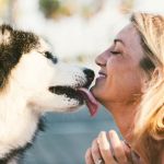 htmlCopy codeHow to Improve Dogs Adoption Guide at Home