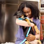 Top 10 Preventive Care Every Puppies Owner in the UK Should Know