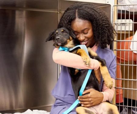 Top 10 Preventive Care Every Puppies Owner in the UK Should Know