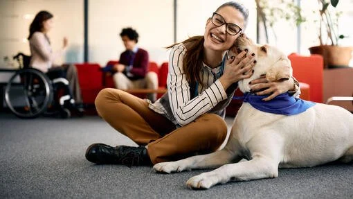 UK Pet Owner’s Guide to Mental Health for Dogs