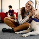 UK Pet Owner’s Guide to Mental Health for Dogs