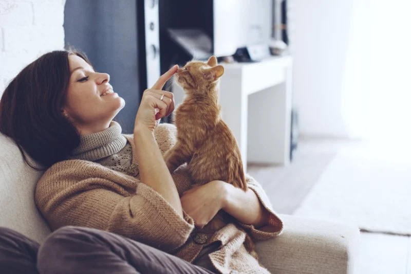 Seasonal Health Tips for Cats: What UK Pet Owners Need to Know