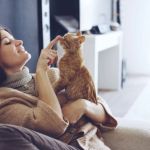 Seasonal Health Tips for Cats: What UK Pet Owners Need to Know