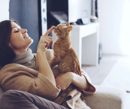 Seasonal Health Tips for Cats: What UK Pet Owners Need to Know