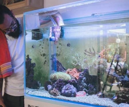 How to Improve Fish Behaviour Training at Home