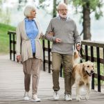 How to Improve Senior Pets Seasonal Health Tips at Home
