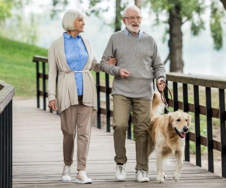 How to Improve Senior Pets Seasonal Health Tips at Home