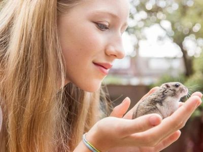 Dental Care Tips for Hamsters: What UK Pet Owners Need to Know