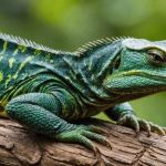 Top 10 Seasonal Health Tips Every Reptile Owner in the UK Should Know