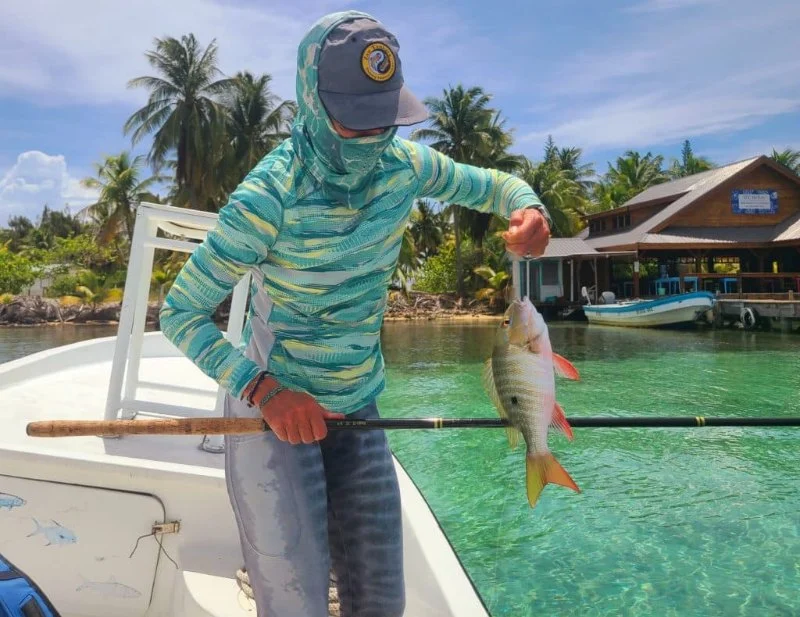 Top 10 Travel Safety Every Fish Owner in the UK Should Know