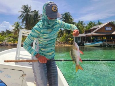 Top 10 Travel Safety Every Fish Owner in the UK Should Know