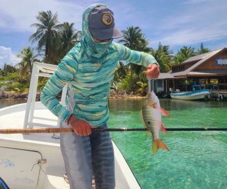 Top 10 Travel Safety Every Fish Owner in the UK Should Know