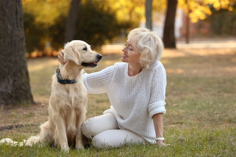 How to Improve Senior Pets Common Illnesses at Home