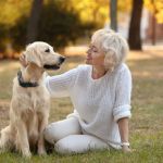 How to Improve Senior Pets Common Illnesses at Home