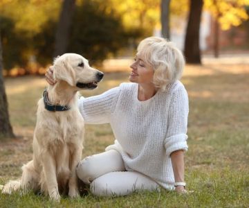How to Improve Senior Pets Common Illnesses at Home