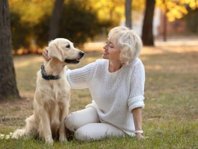 How to Improve Senior Pets Common Illnesses at Home