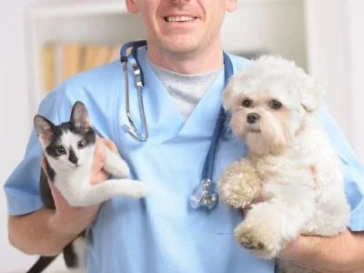 Best Practices for Puppy and Kitten Care in Cats: A Complete Guide