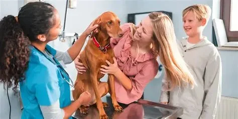 The Importance of Spaying and Neutering for Dogs – UK Edition