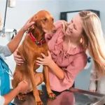 The Importance of Spaying and Neutering for Dogs – UK Edition