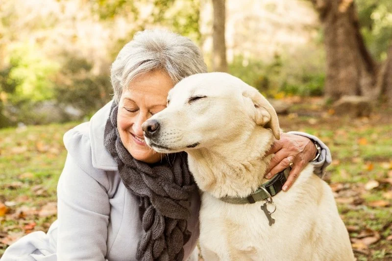 Common Illnesses Explained: Keeping Your Senior Pets Healthy in the UK