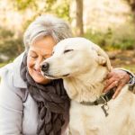 Common Illnesses Explained: Keeping Your Senior Pets Healthy in the UK