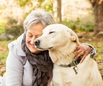 Common Illnesses Explained: Keeping Your Senior Pets Healthy in the UK