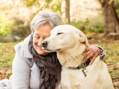 Common Illnesses Explained: Keeping Your Senior Pets Healthy in the UK