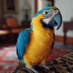 Health Checkups Tips for Birds: What UK Pet Owners Need to Know