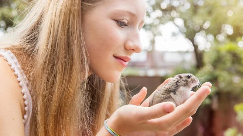 Comprehensive Guide to Allergy Care for Hamsters in the UK