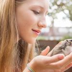 Comprehensive Guide to Allergy Care for Hamsters in the UK