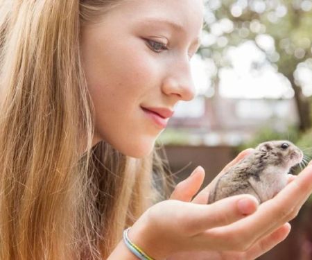 Comprehensive Guide to Allergy Care for Hamsters in the UK
