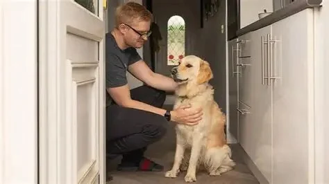 How to Perform a Monthly Dog Health Check at Home for UK Dog Owners