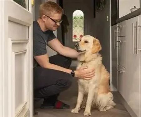 How to Perform a Monthly Dog Health Check at Home for UK Dog Owners