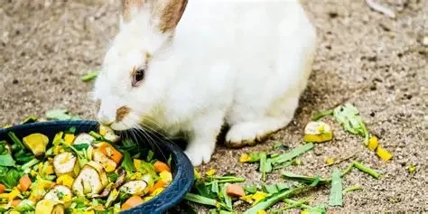 Can Rabbits Eat Artichoke? Safe Feeding Guide for Bunny Owners