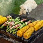 Can Dogs Eat Asparagus Fern? Ornamental Plant Poisoning Risks Explained