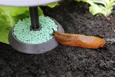 How to Prevent Dog Slug Pellet Poisoning in UK Gardens