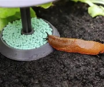 How to Prevent Dog Slug Pellet Poisoning in UK Gardens