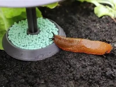 How to Prevent Dog Slug Pellet Poisoning in UK Gardens