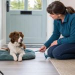 Pet Suddenly Limping: A Safe UK Observation Checklist