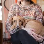 Why Is My Dog Shaking? 7 Causes and When to Worry