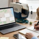 How to Choose a Local Vet Practice in the UK