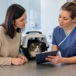 Before Pet Anaesthesia: Confirm Fasting and Medicines