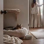 Pet Household Noise Plan: Create a Calmer Retreat