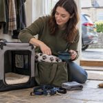 Pet Travel to the Vet: Carrier, Route, and Stress Plan