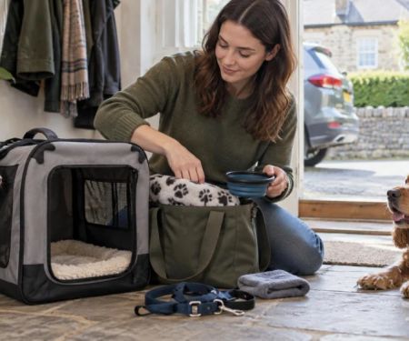 Pet Travel to the Vet: Carrier, Route, and Stress Plan